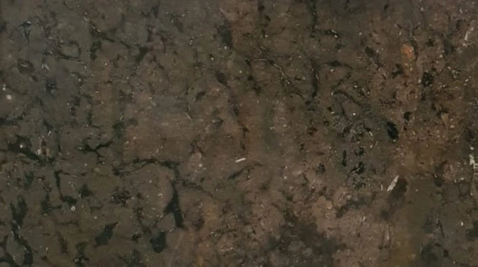 Fossil Brown